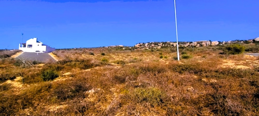 0 Bedroom Property for Sale in Steenbergs Cove Western Cape